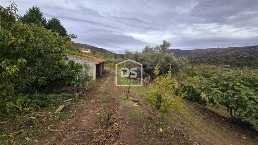 Quinta T3 para Venda em Mizarela, Pêro Soares e Vila Soeiro Foto 34