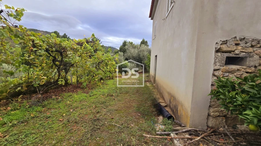 Quinta T3 para Venda em Mizarela, Pêro Soares e Vila Soeiro Foto 30