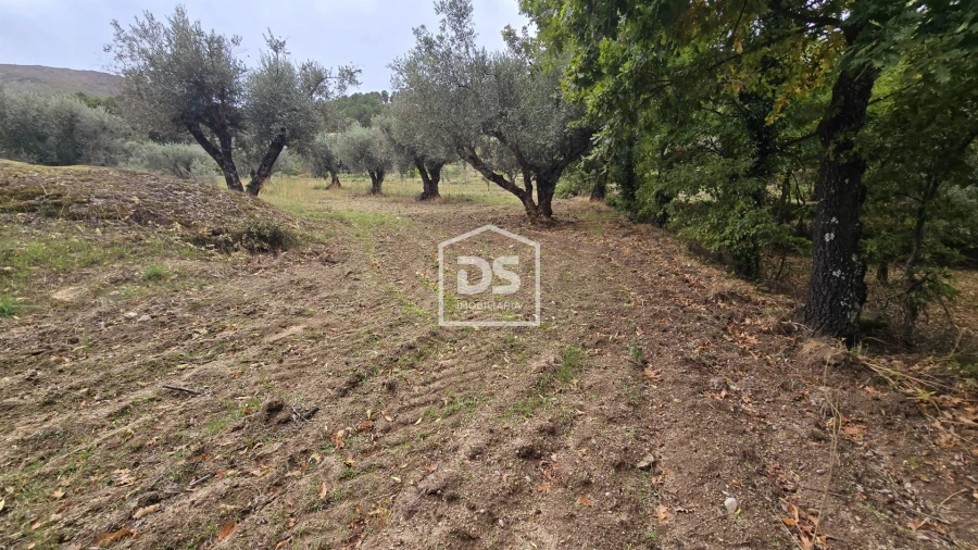 Quinta T3 para Venda em Mizarela, Pêro Soares e Vila Soeiro Foto 48