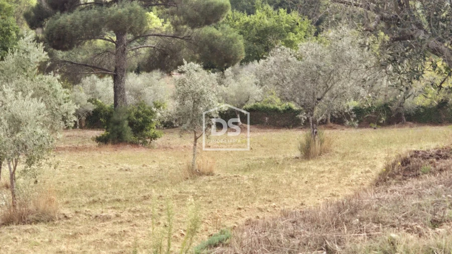 Quinta T3 para Venda em Mizarela, Pêro Soares e Vila Soeiro Foto 16