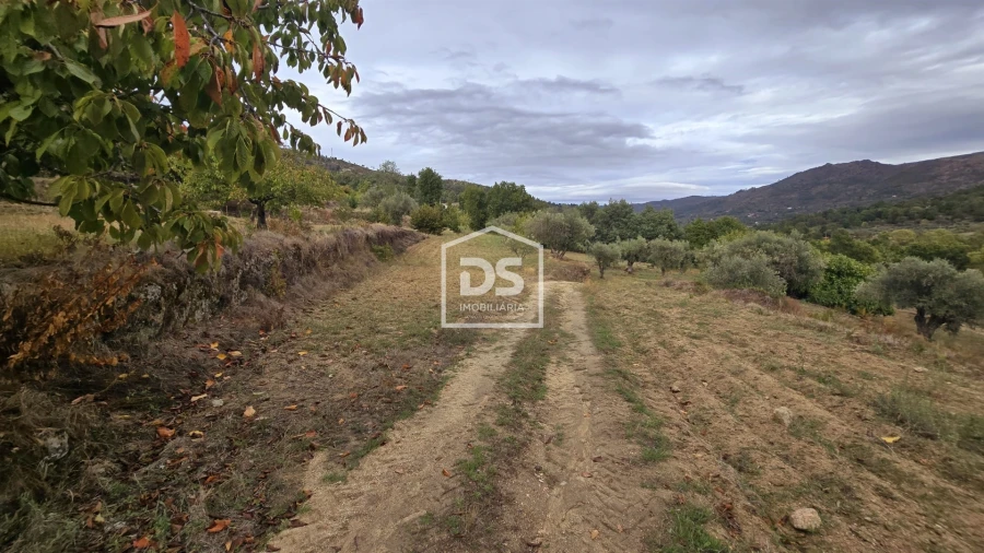 Quinta T3 para Venda em Mizarela, Pêro Soares e Vila Soeiro Foto 37
