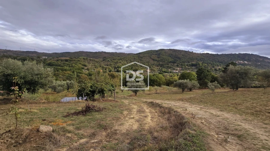 Quinta T3 para Venda em Mizarela, Pêro Soares e Vila Soeiro Foto 38