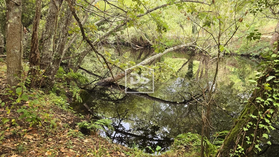 Quinta T3 para Venda em Mizarela, Pêro Soares e Vila Soeiro Foto 2