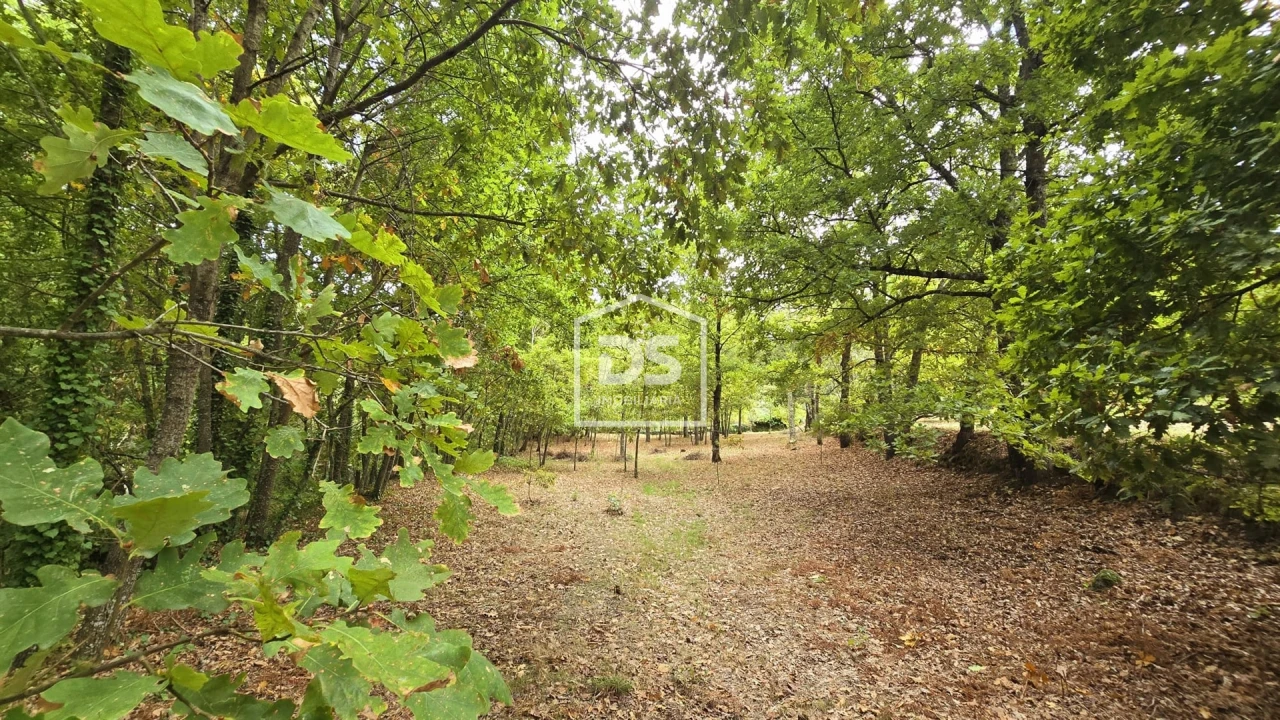 Quinta T3 para Venda em Mizarela, Pêro Soares e Vila Soeiro Foto 42