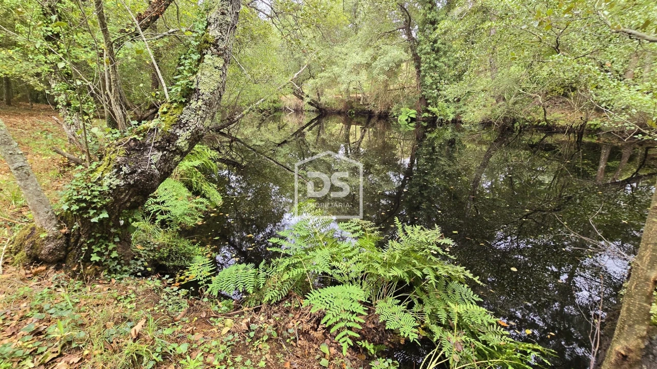 Quinta T3 para Venda em Mizarela, Pêro Soares e Vila Soeiro Foto 46