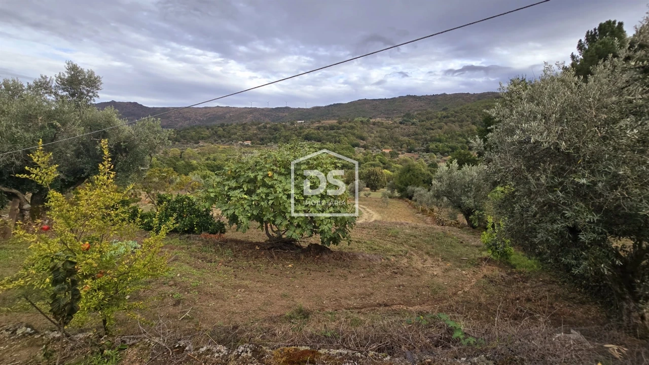 Quinta T3 para Venda em Mizarela, Pêro Soares e Vila Soeiro Foto 28