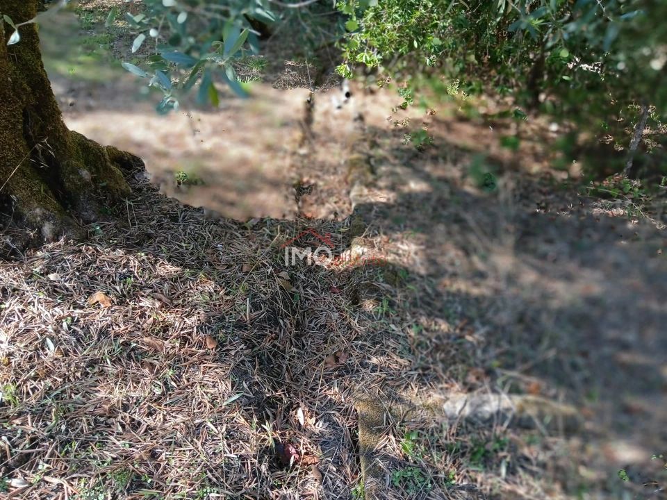 Quinta T3 para Venda em São Salvador da Aramenha Foto 26