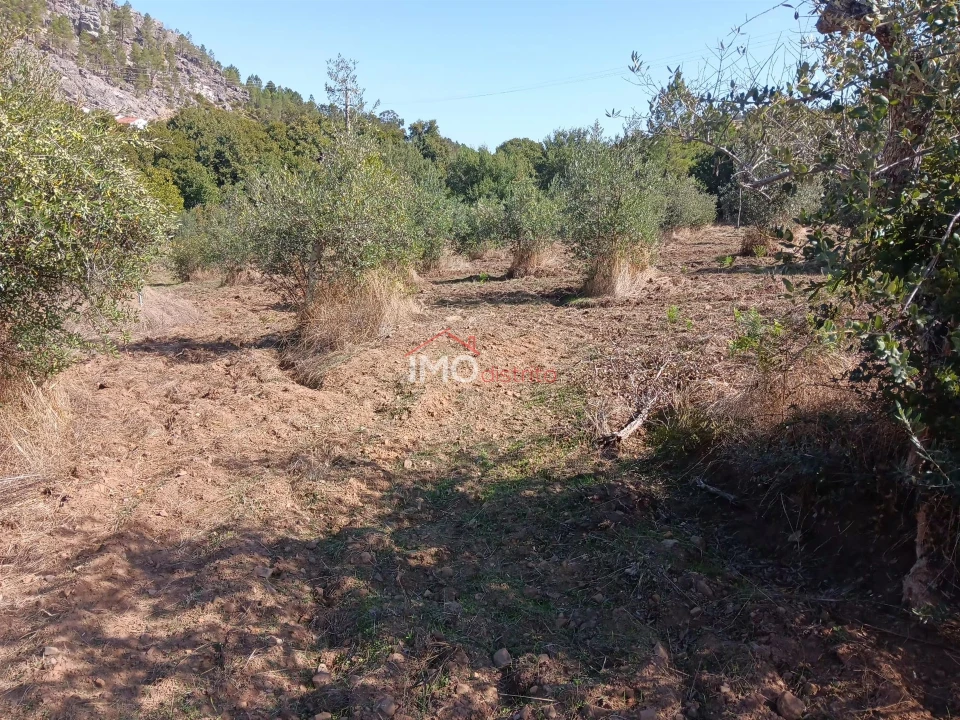 Quinta T3 para Venda em São Salvador da Aramenha Foto 24