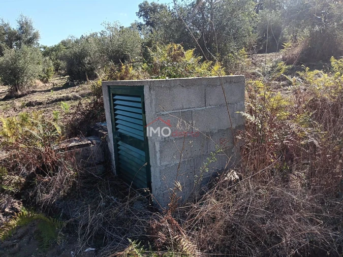 Quinta T3 para Venda em São Salvador da Aramenha Foto 30