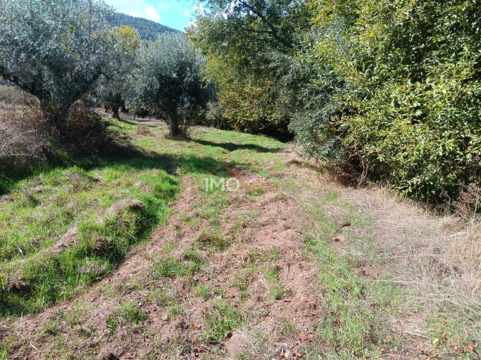 Quinta T3 para Venda em São Salvador da Aramenha Foto 31