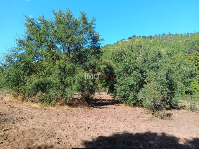 Quinta T3 para Venda em São Salvador da Aramenha Foto 21