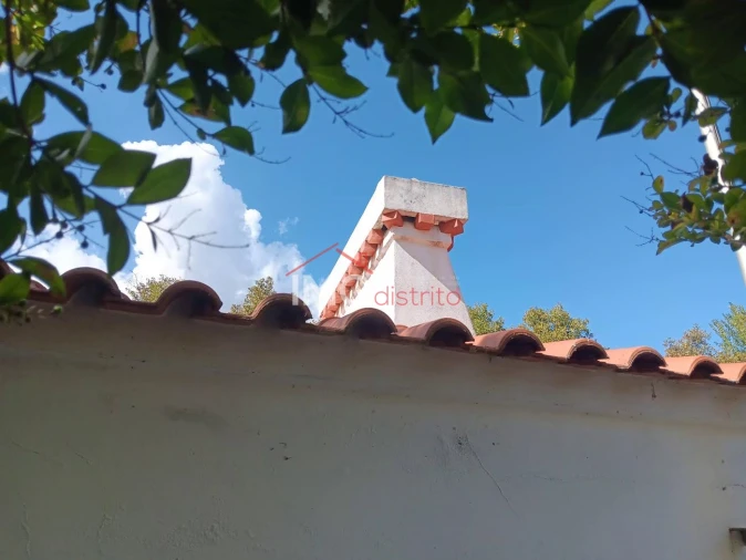 Quinta T3 para Venda em São Salvador da Aramenha Foto 5