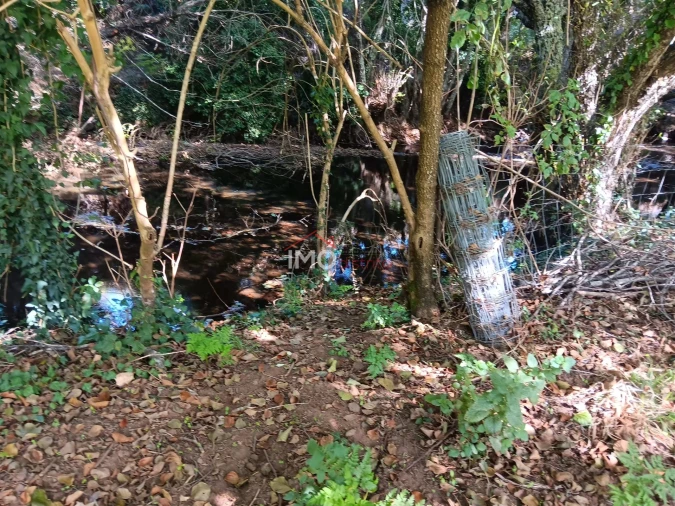 Quinta T3 para Venda em São Salvador da Aramenha Foto 29