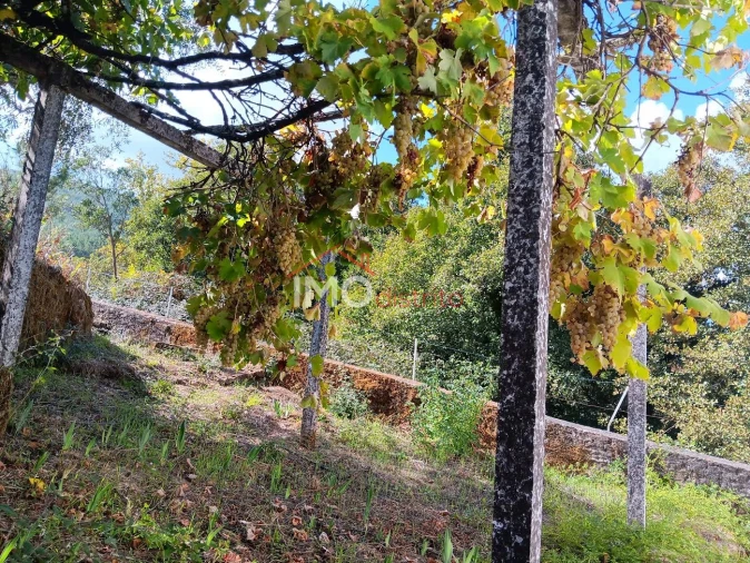 Quinta T3 para Venda em São Salvador da Aramenha Foto 23