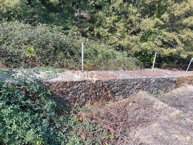 Quinta T3 para Venda em São Salvador da Aramenha Foto 20