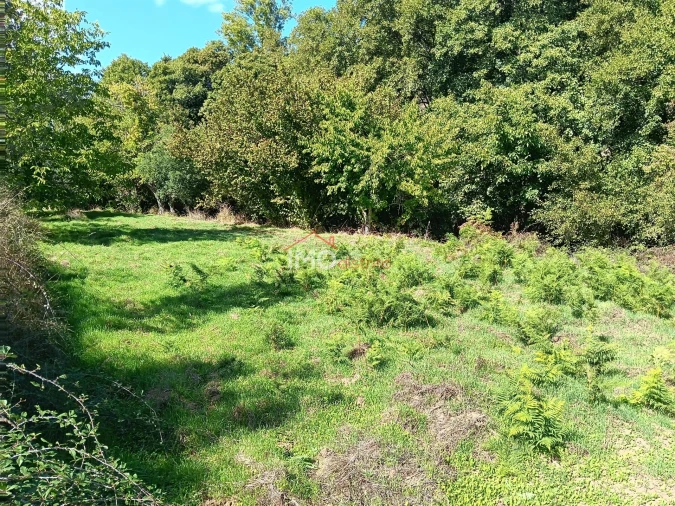 Quinta T3 para Venda em São Salvador da Aramenha Foto 25