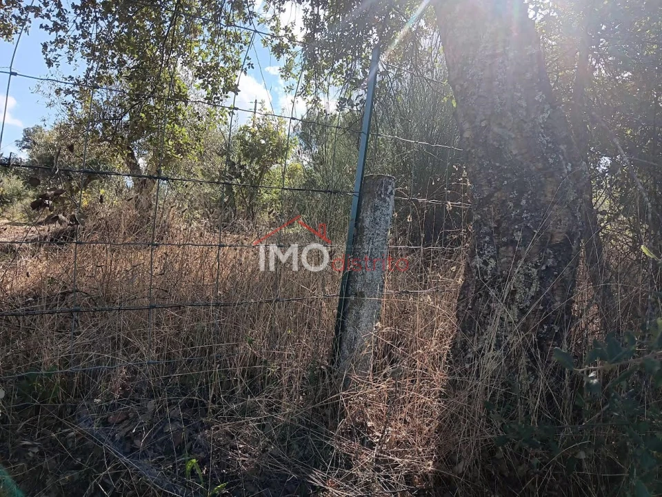 Quinta T3 para Venda em São Salvador da Aramenha Foto 18