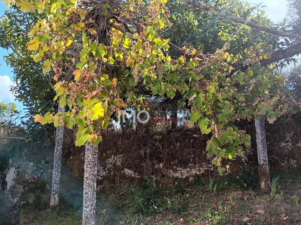 Quinta T3 para Venda em São Salvador da Aramenha Foto 22