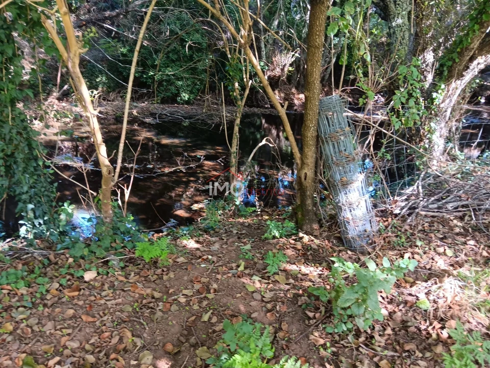 Quinta T3 para Venda em São Salvador da Aramenha Foto 29