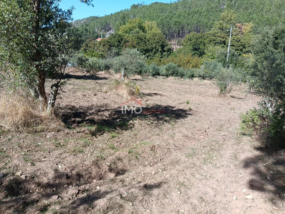 Quinta T3 para Venda em São Salvador da Aramenha Foto 15