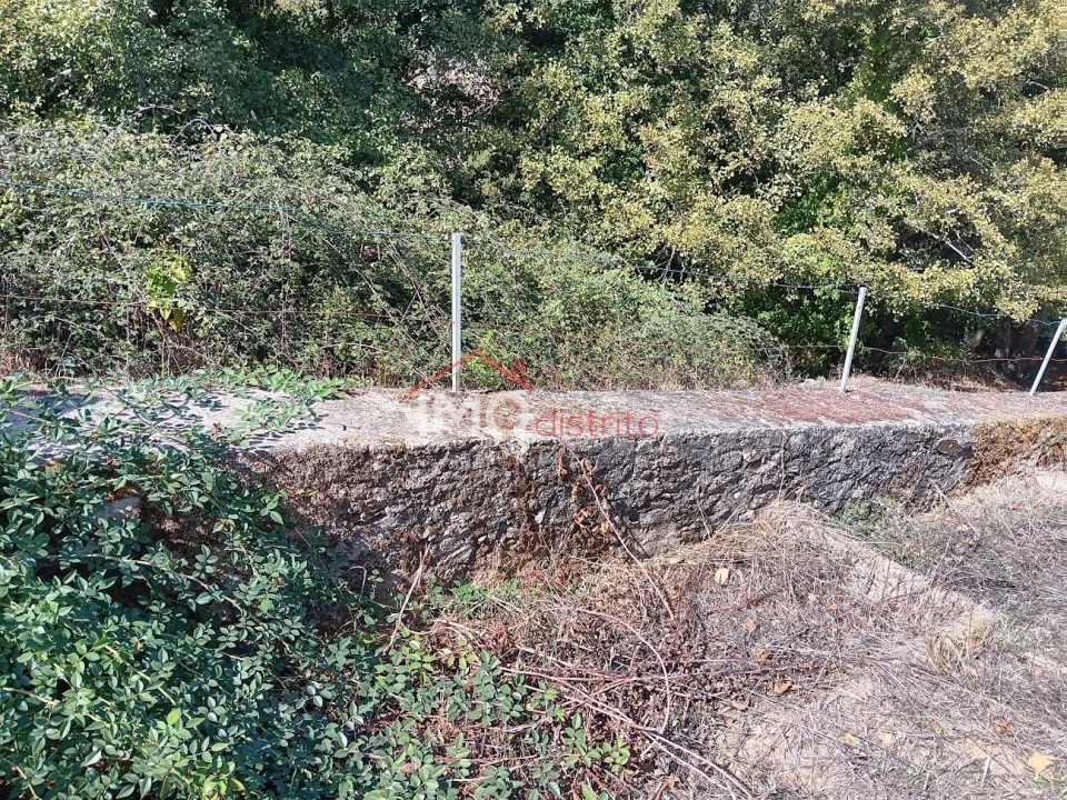 Quinta T3 para Venda em São Salvador da Aramenha Foto 20