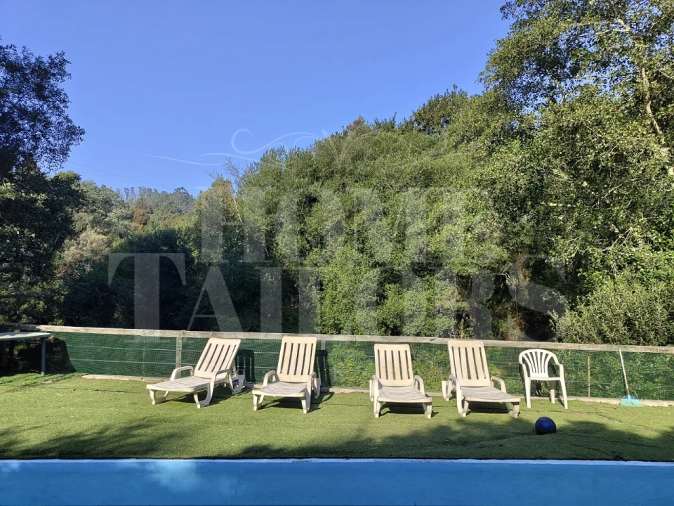 Terreno para Venda em Pinheiro da Bemposta, Travanca e Palmaz Foto 2