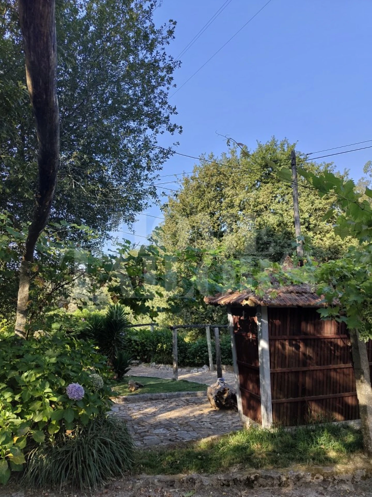 Terreno para Venda em Pinheiro da Bemposta, Travanca e Palmaz Foto 11