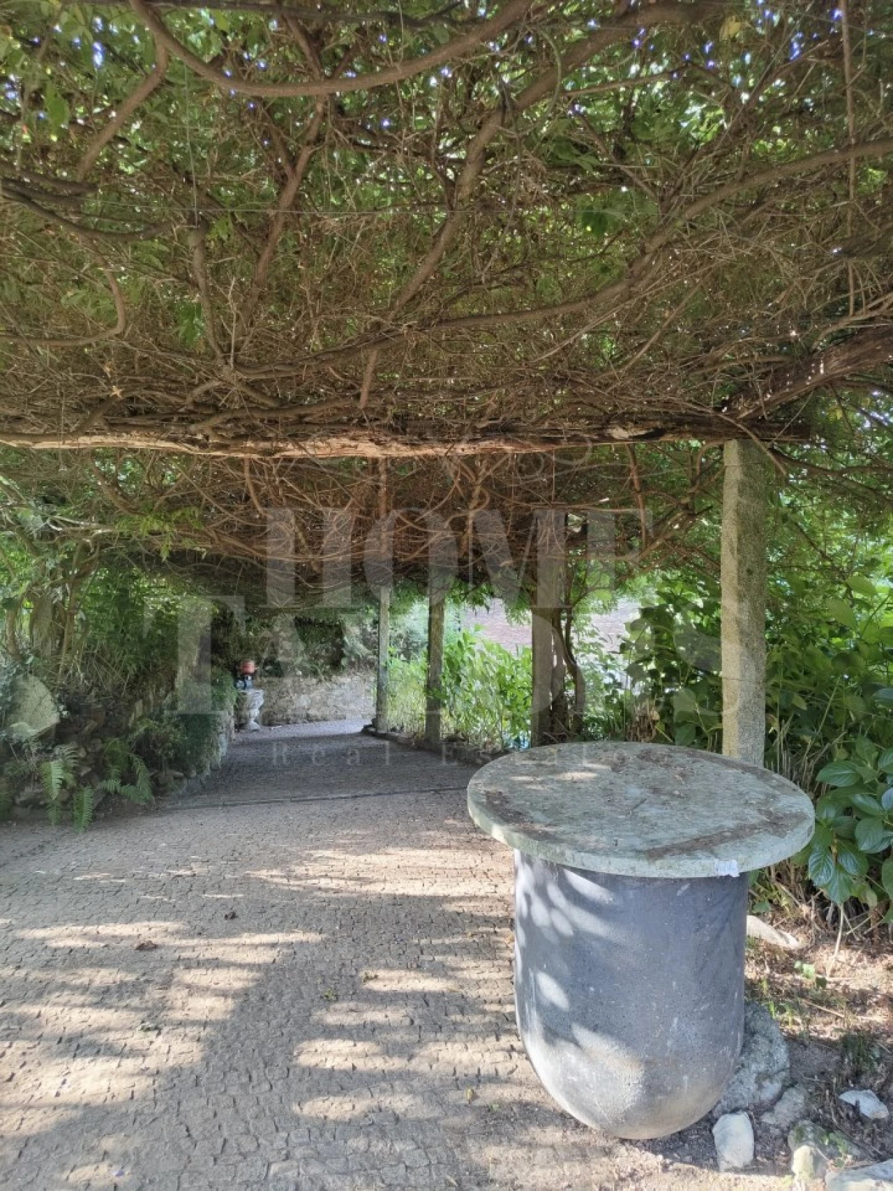 Terreno para Venda em Pinheiro da Bemposta, Travanca e Palmaz Foto 12