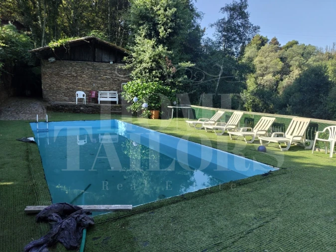 Terreno para Venda em Pinheiro da Bemposta, Travanca e Palmaz Foto 4