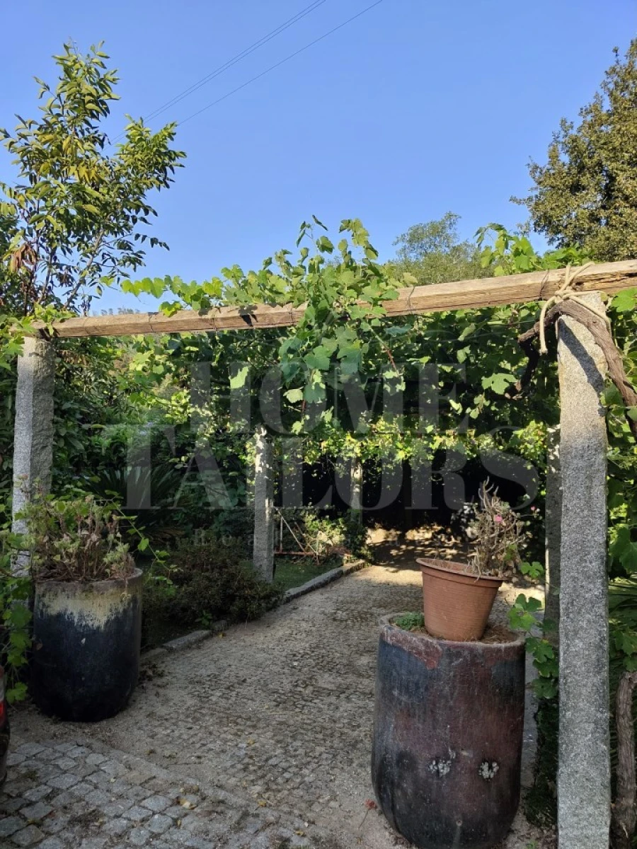 Terreno para Venda em Pinheiro da Bemposta, Travanca e Palmaz Foto 7