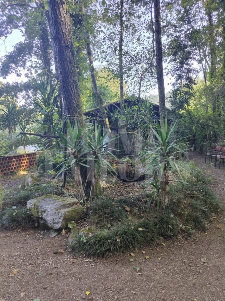 Terreno para Venda em Pinheiro da Bemposta, Travanca e Palmaz Foto 8
