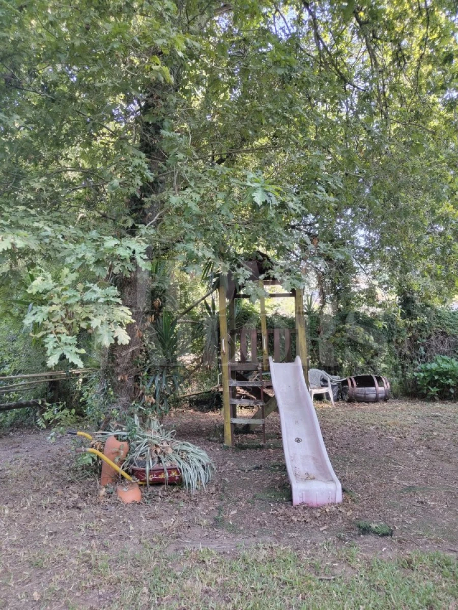 Terreno para Venda em Pinheiro da Bemposta, Travanca e Palmaz Foto 9