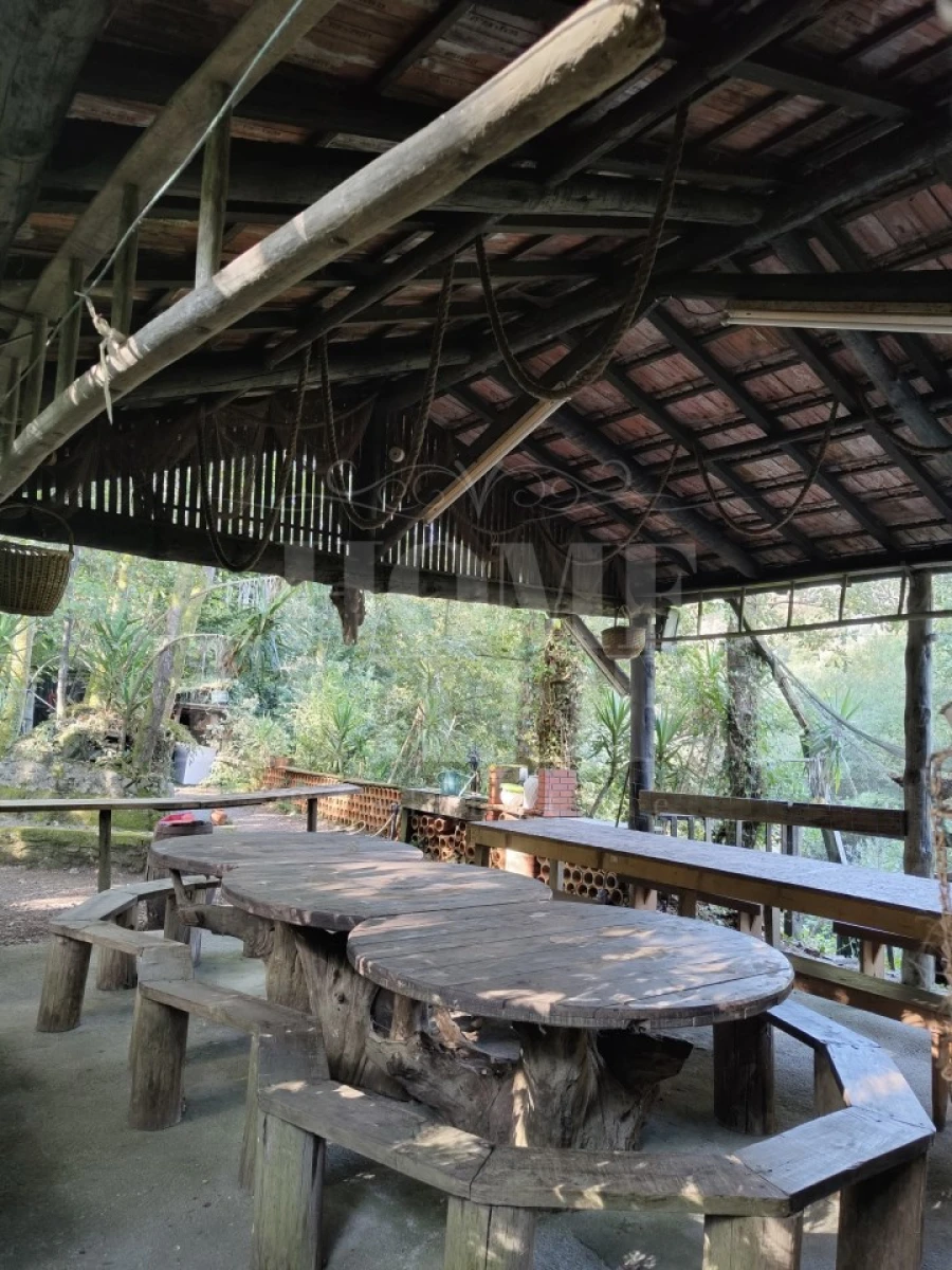 Terreno para Venda em Pinheiro da Bemposta, Travanca e Palmaz Foto 10