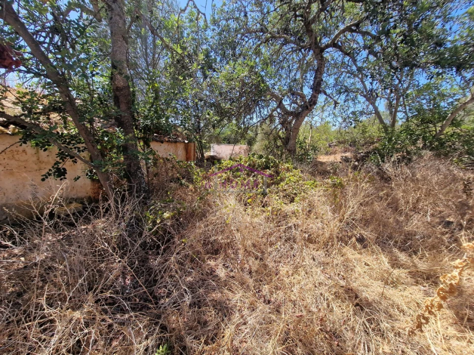 Moradia T2 para Venda em Alte Foto 3