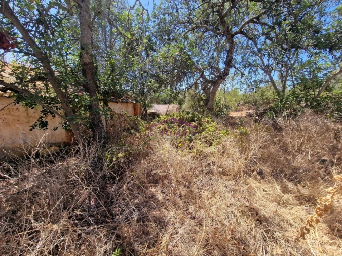 Moradia T2 para Venda em Alte Foto 3