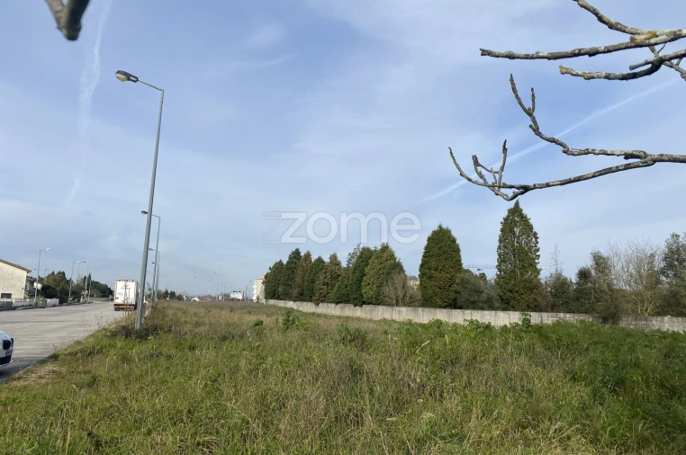 Terreno para Venda em Mealhada, Ventosa do Bairro e Antes Foto 14