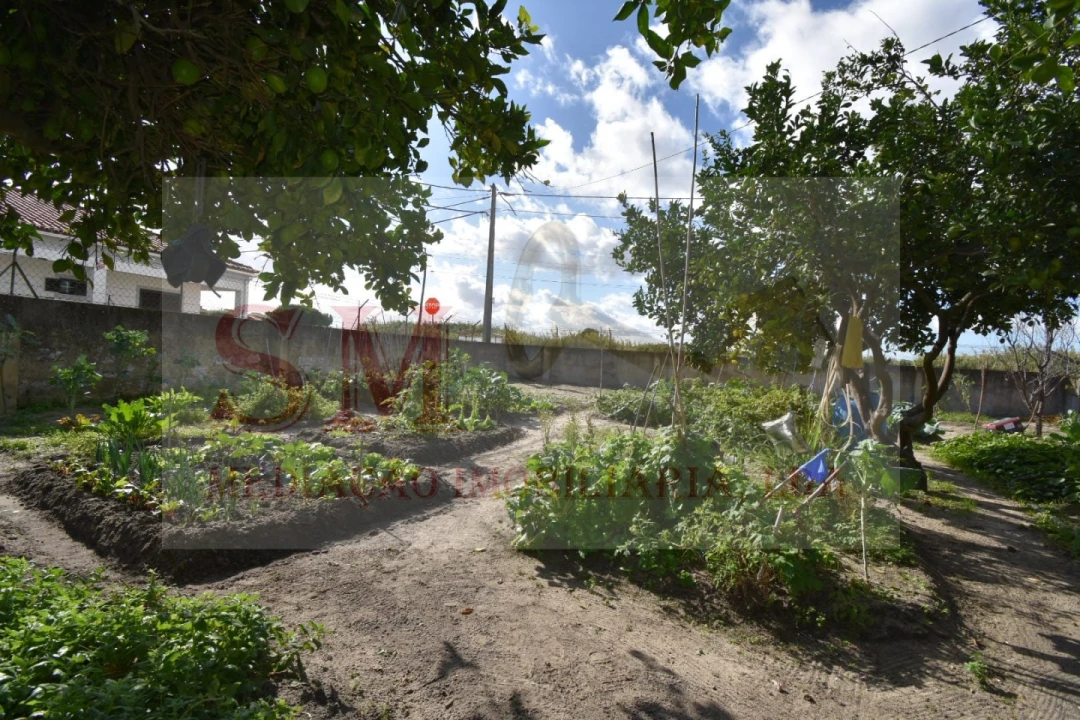 Terreno para Venda em Alhos Vedros Foto 3