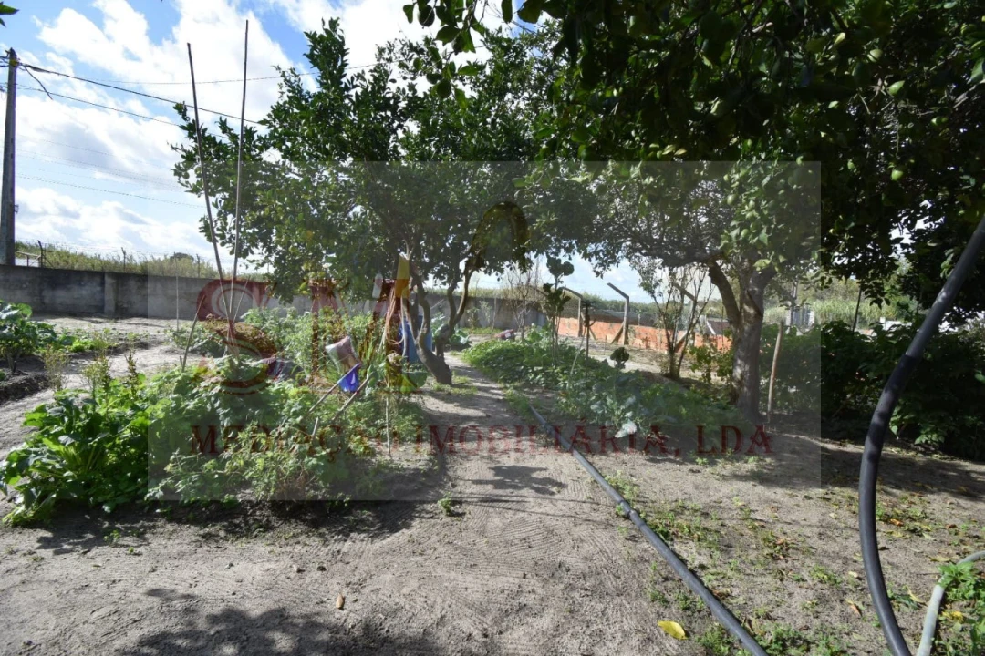 Terreno para Venda em Alhos Vedros Foto 10