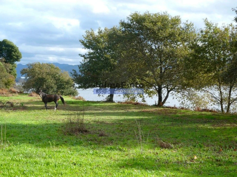 Quinta T0 para Venda em Santa Maria Maior e Monserrate e Meadela Foto 7