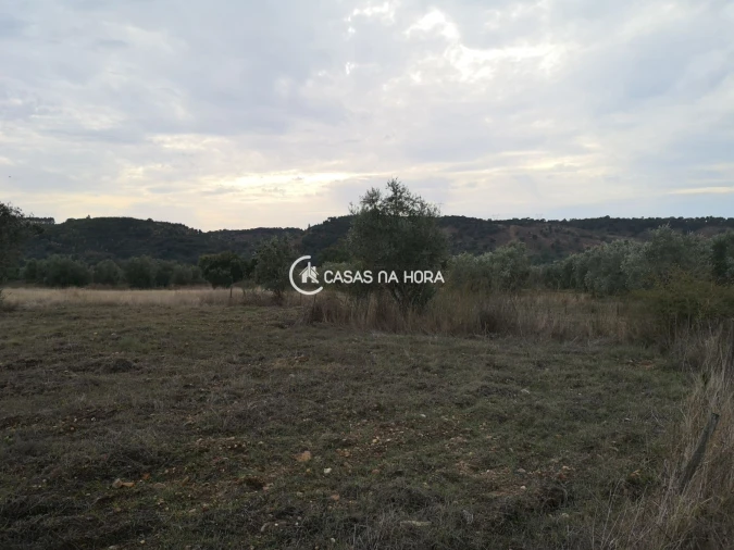 Moradia T4 para Venda em Tramagal Foto 18