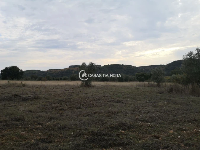 Moradia T4 para Venda em Tramagal Foto 19