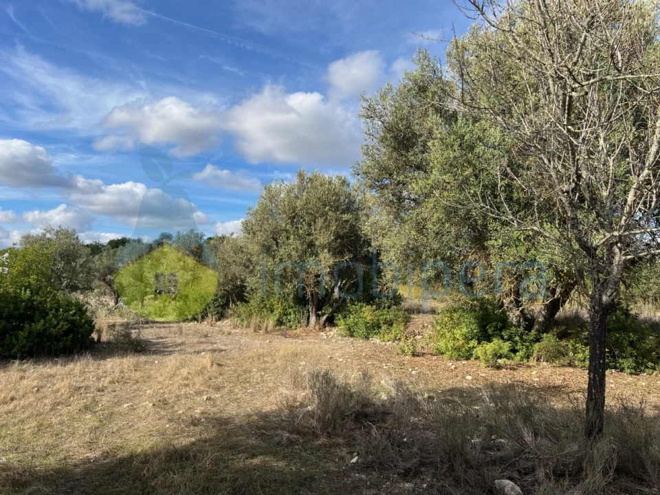 Terreno Agricola ou Rústico para Venda em Paderne Foto 5