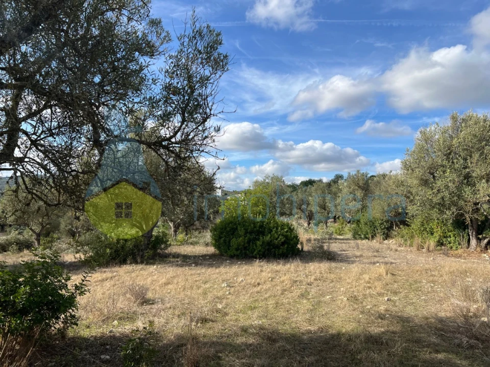 Terreno Agricola ou Rústico para Venda em Paderne Foto 6