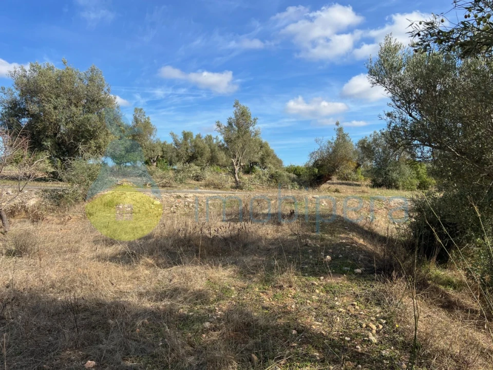 Terreno Agricola ou Rústico para Venda em Paderne Foto 21