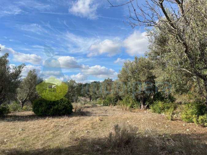Terreno Agricola ou Rústico para Venda em Paderne Foto 4