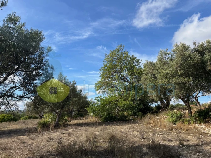 Terreno Agricola ou Rústico para Venda em Paderne Foto 16