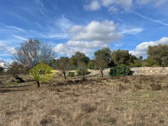 Terreno Agricola ou Rústico para Venda em Paderne Foto 20
