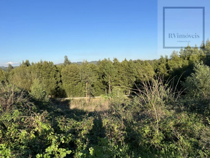 Terreno para Venda em Arcozelo Foto 18