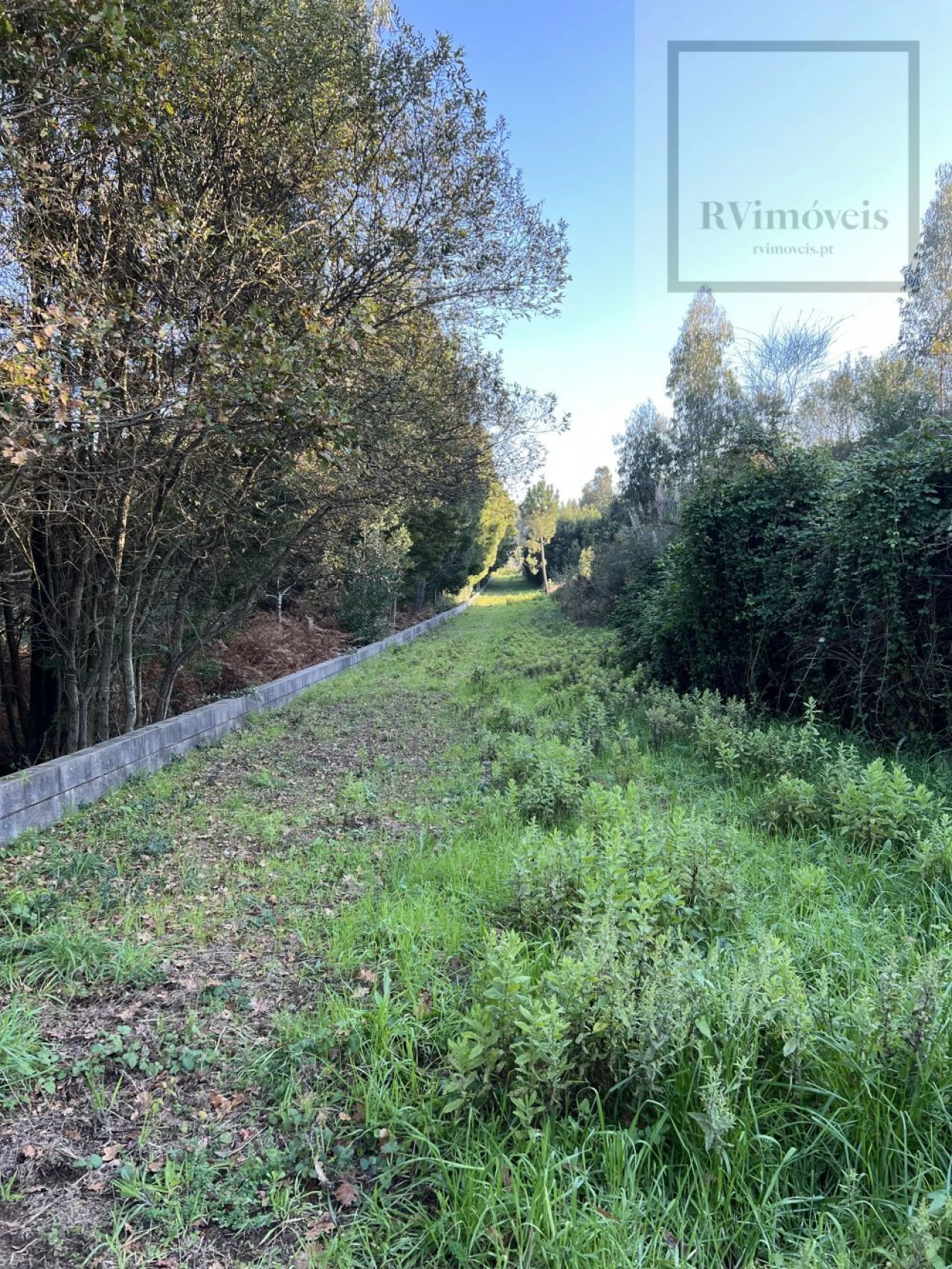 Terreno para Venda em Arcozelo Foto 14