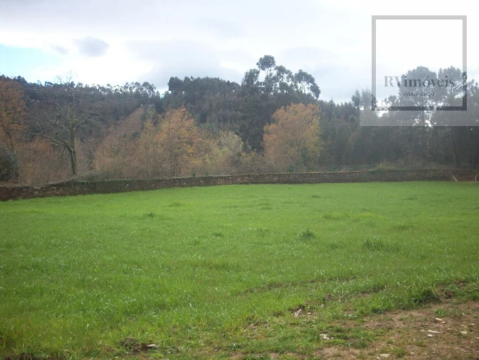 Moradia T0 para Venda em Arouca e Burgo Foto 8